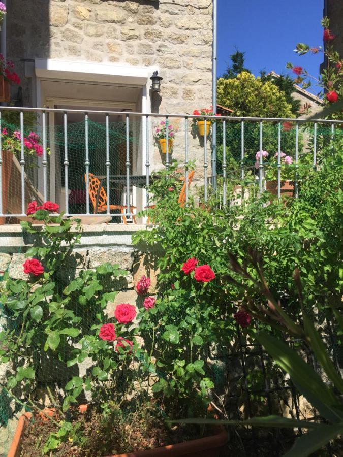 Maison De Vacances - Casa Mezanaccia Avec Terrasse Fleurie Meuble Tourisme 3 Etoiles Santa-Lucia-di-Tallano Экстерьер фото