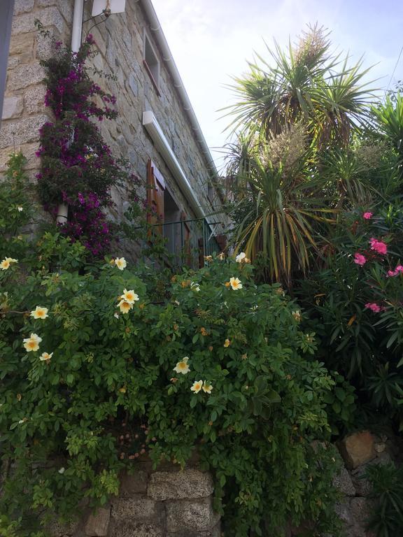 Maison De Vacances - Casa Mezanaccia Avec Terrasse Fleurie Meuble Tourisme 3 Etoiles Santa-Lucia-di-Tallano Номер фото